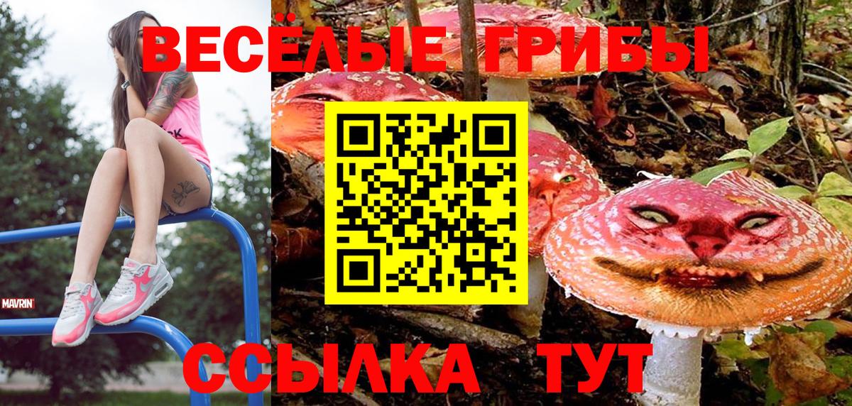 Азов  Псилоцибиновые грибы Psilocybine cubensis  Вход с VPN 