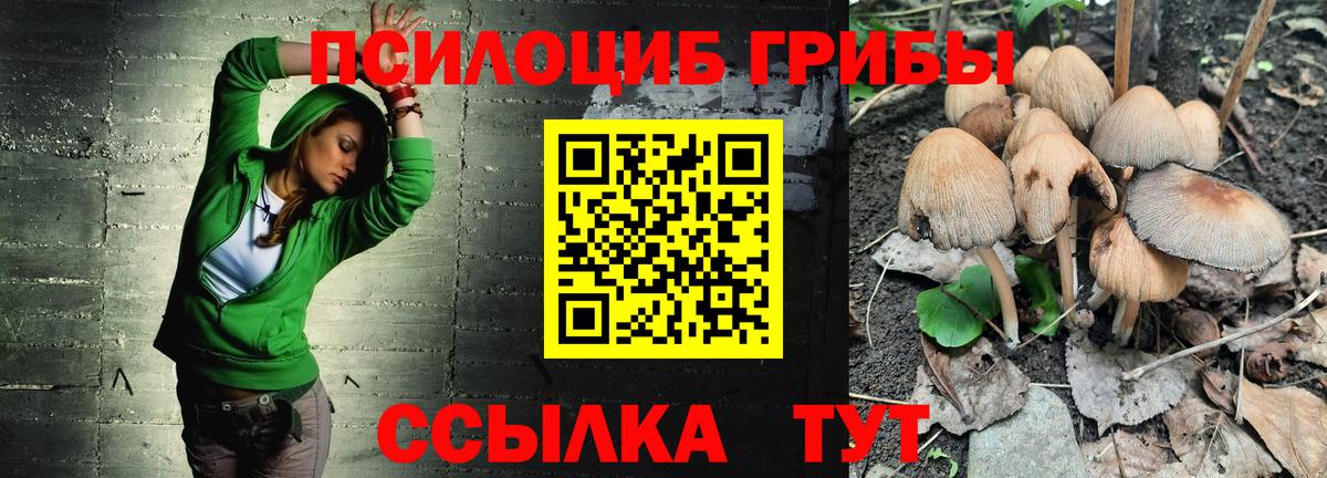 Псилоцибиновые грибы ЛСД Азов